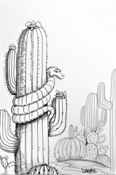Большой Кактус раскраска