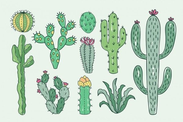 Рисование Кактус