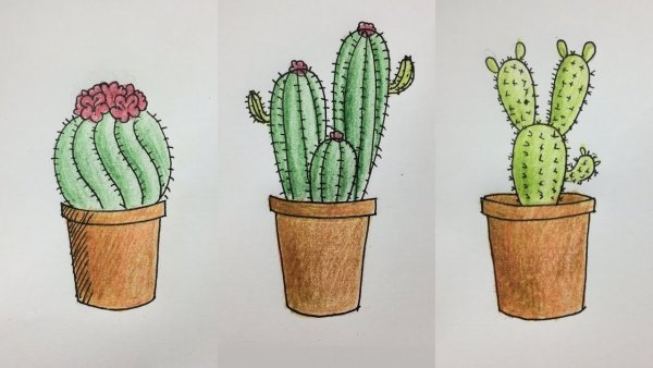 Маленькие рисунки кактусов