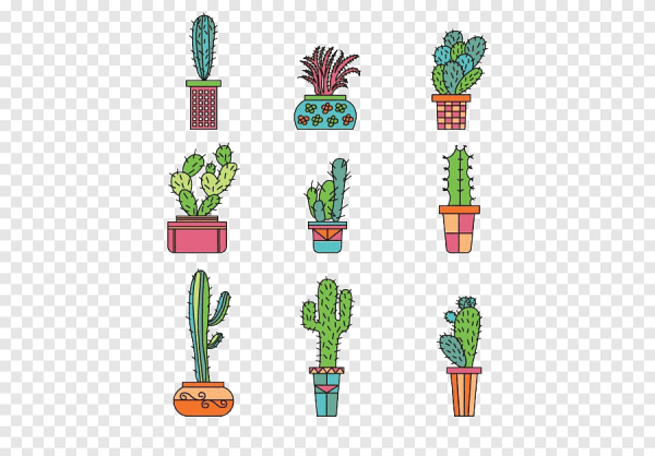 Кактусики цветы