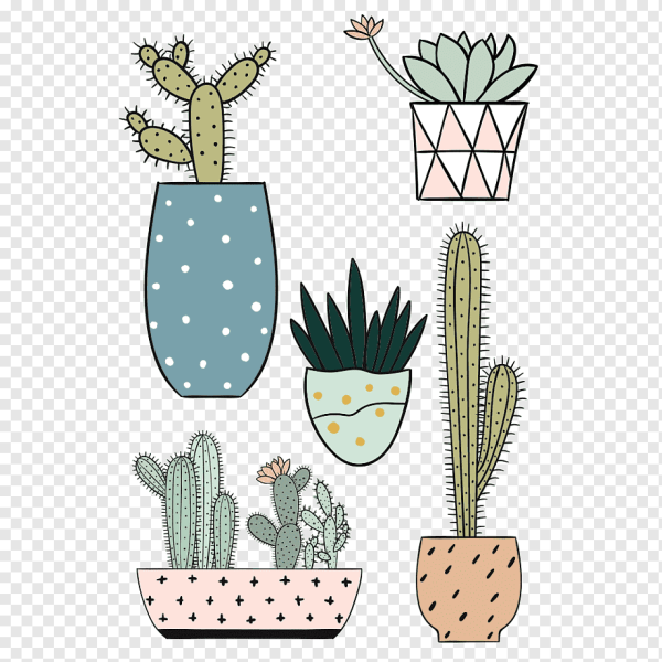 Векторный Кактус