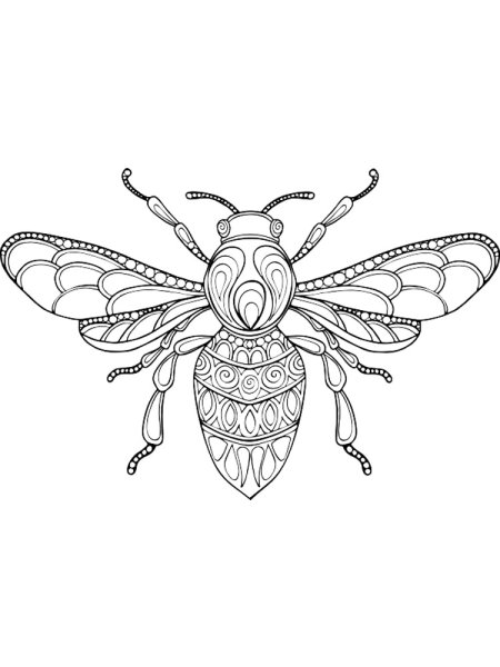 Пчела эскиз