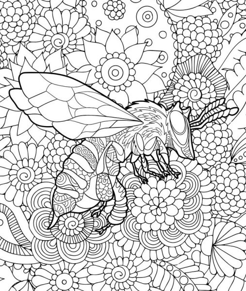 Рисунок пчелы карандашом для срисовки