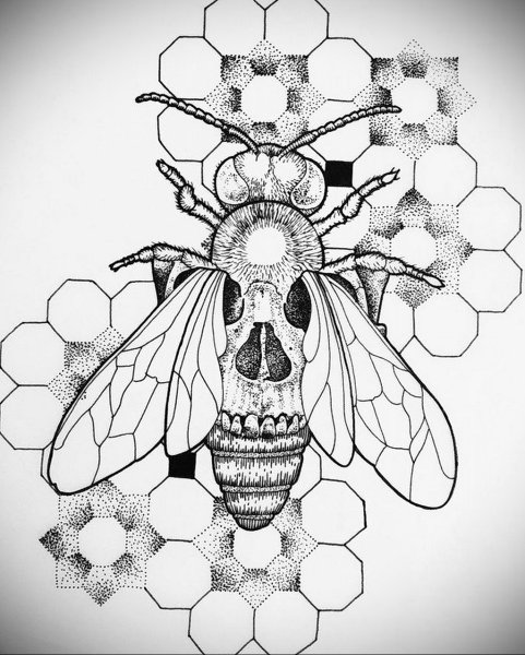 Шмель раскраска