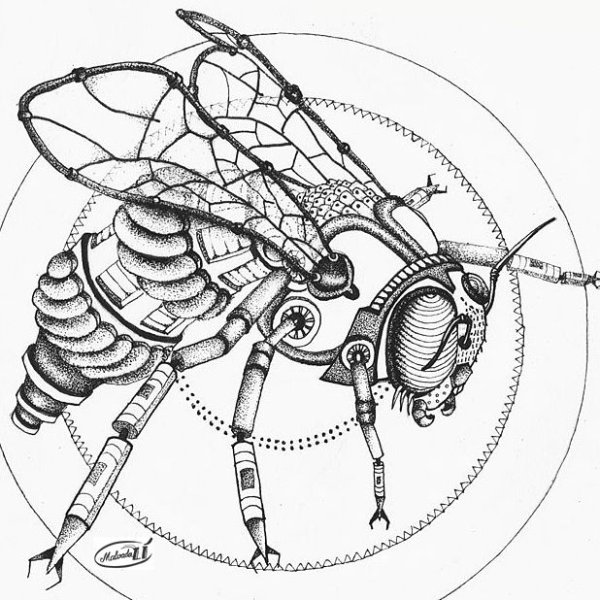 Насекомые пчела раскраска для детей 6-7 лет