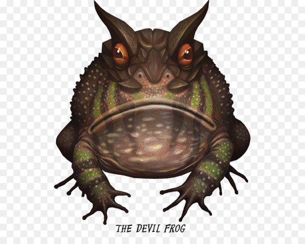 Лягушка монстр амфибия