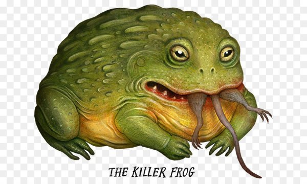 Лягушка фэнтези