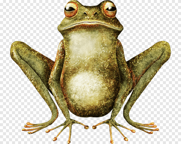 Векторная жаба