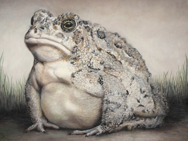 Нарисовать лягушку реалистично