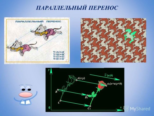 Движение на плоскости и в пространстве