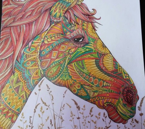 Арт терапия лошади