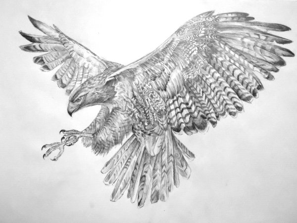 Антистресс Орел