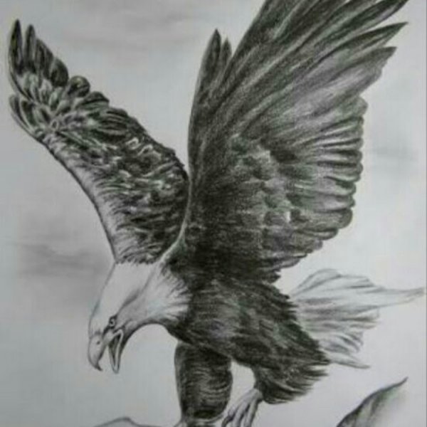 Орел карандашом
