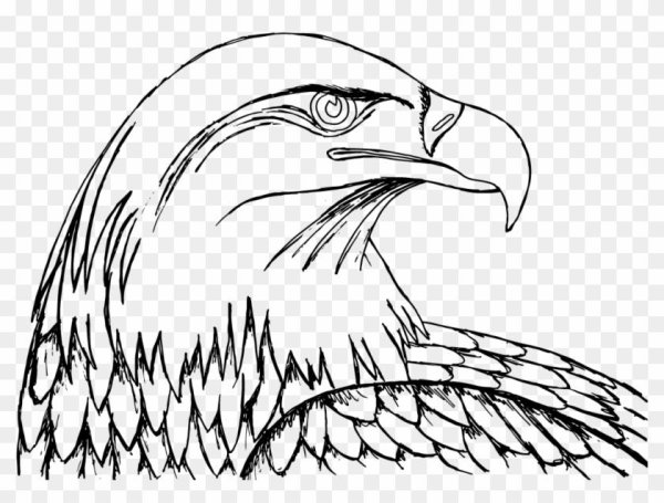 Орел раскраска
