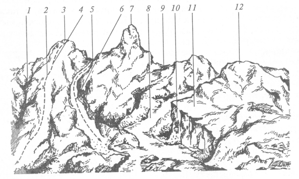 Построение гипсового орнамента кленовый лист