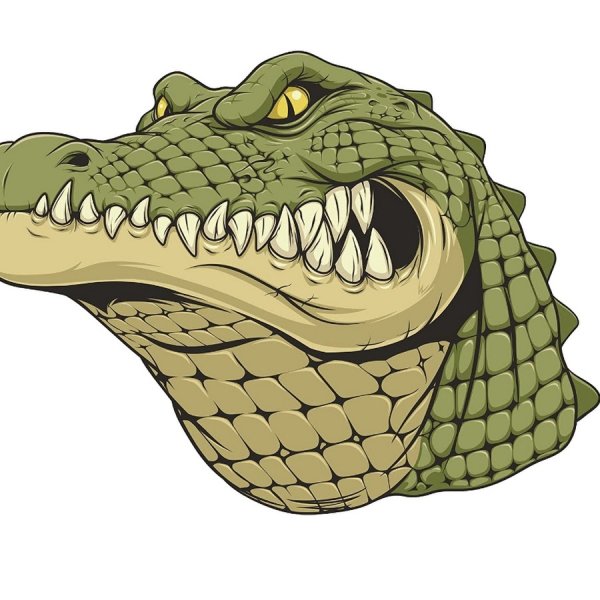 Крокодил символ