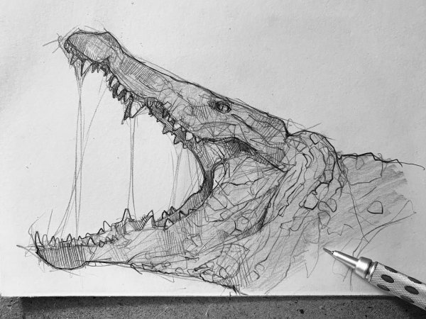 Крокодил скетч