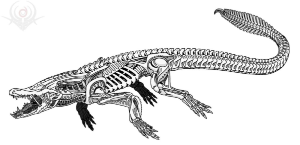 Скелет крокодила тату