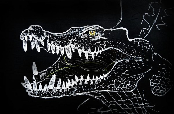 Чёрный крокодил арт