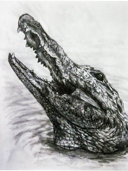 Крокодил карандашом