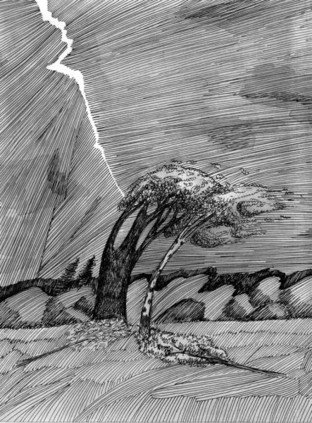 Пейзаж штрихами