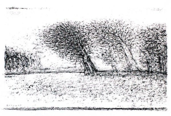 Порыв ветра Графика