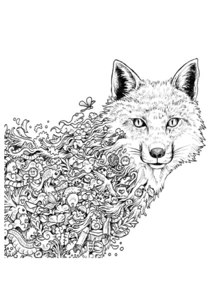 Раскраски сложные