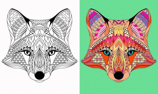 Раскраски для взрослых