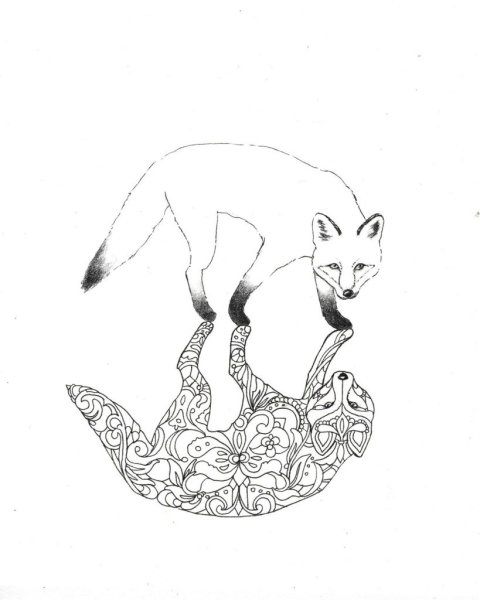 Раскраска лисы