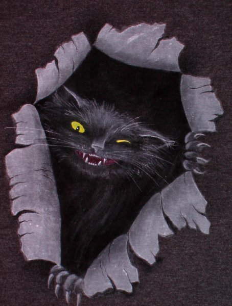 Страшный черный кот