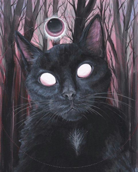 Трехглазая кошка