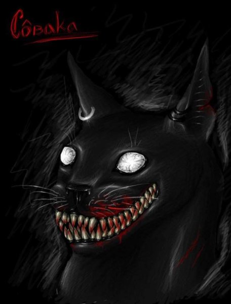 Коты Воители Бич демон