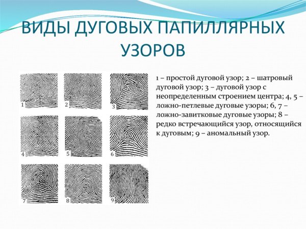 Отпечатки пальцев завитки