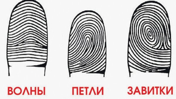 Отпечатки пальцев дуги петли завитки