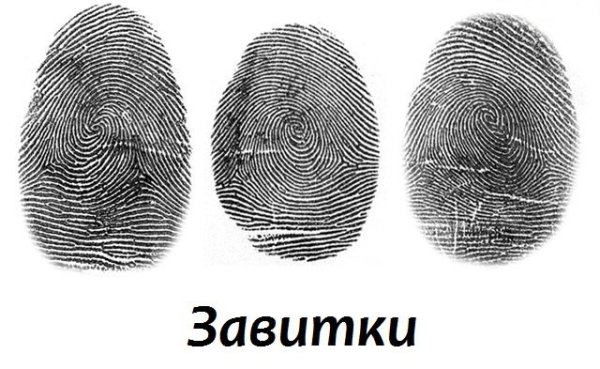 Павлиний глаз папиллярный узор