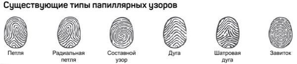 Следы капилярных узоров