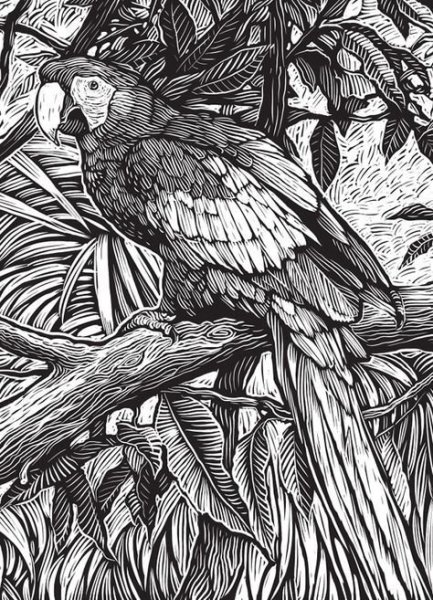 Графика рисунки