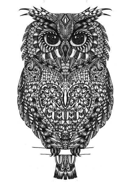 Зентангл Сова черно-белая