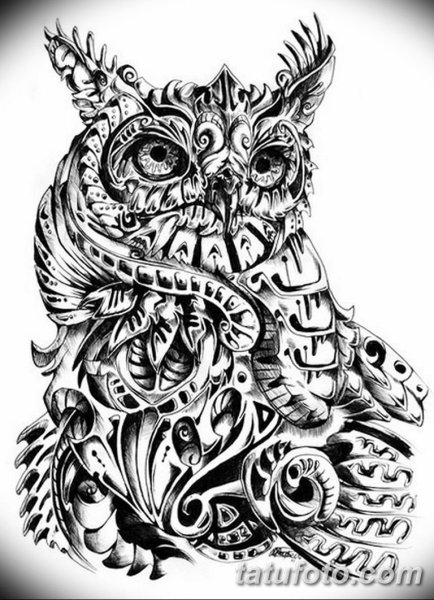 Зентангл Сова эскиз