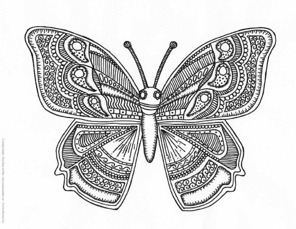 Раскраски антистресс бабочки