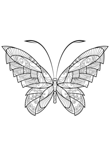 Раскраска бабочка сложная