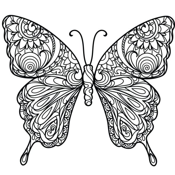 Раскраски антистресс бабочки