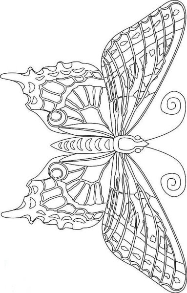 Бабочка антистресс