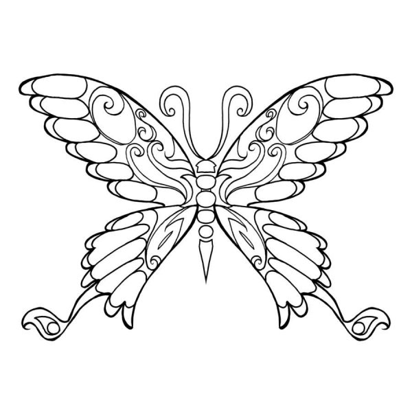 Бабочка раскраска объемная