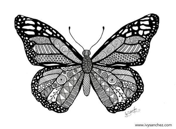 Красивая бабочка рисунок