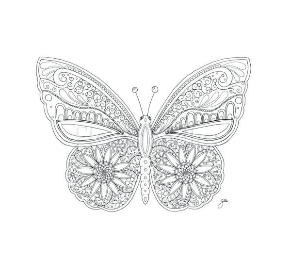 Раскраска "бабочки"