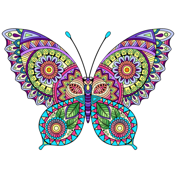 Мандала бабочка