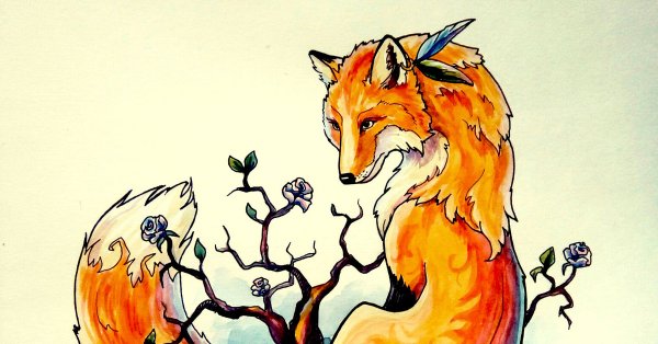 Рисунки Лис для срисовки