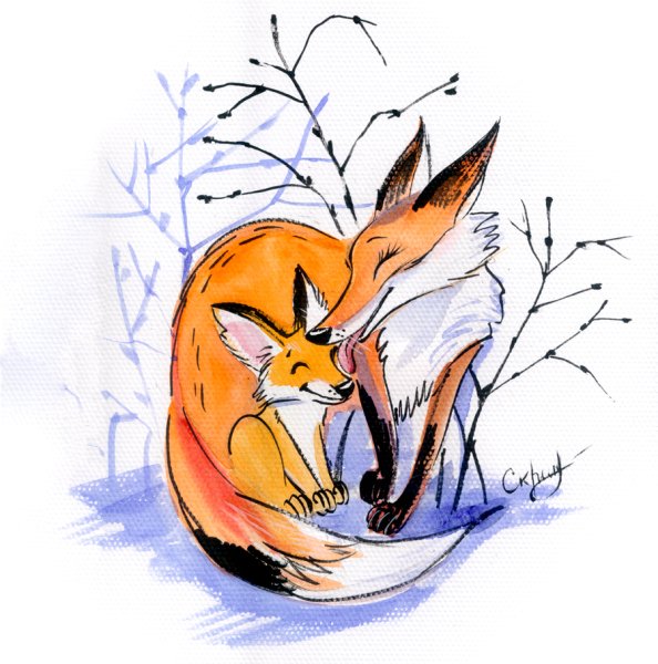 Лисенок иллюстрация