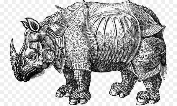 Альбрехт Дюрер носорог